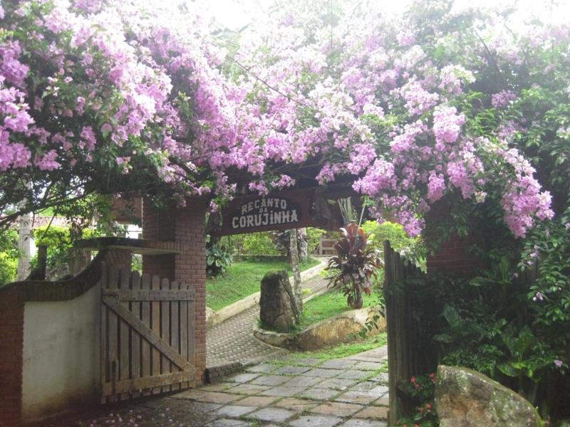 Chácara Condomínio Fazenda Velha — foto 1