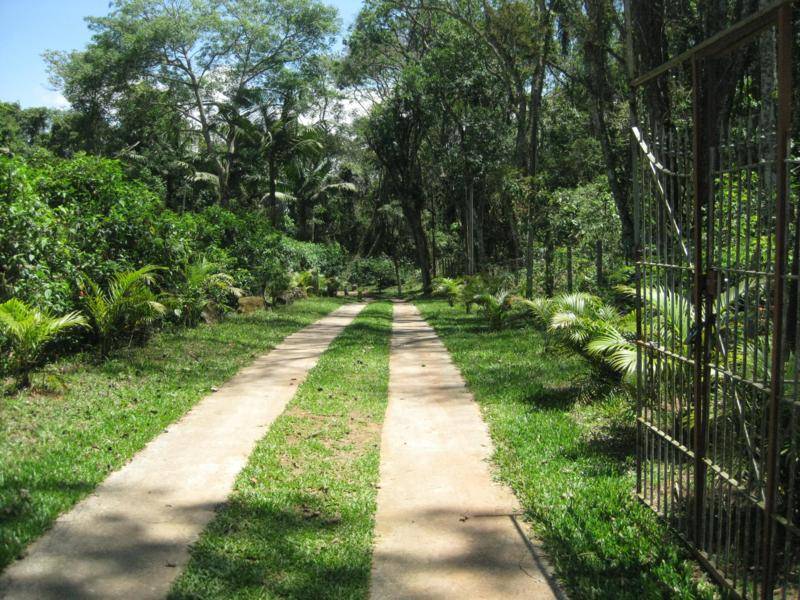 Chácara Condomínio Fazenda Velha — foto 10
