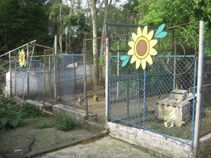 Chácara Condomínio Fazenda Velha — foto 8