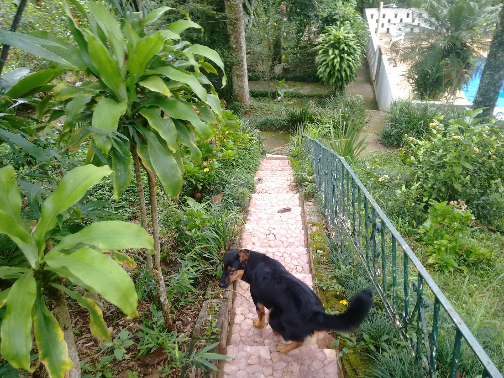 Chácara em Arujá – São Domingos — foto 5