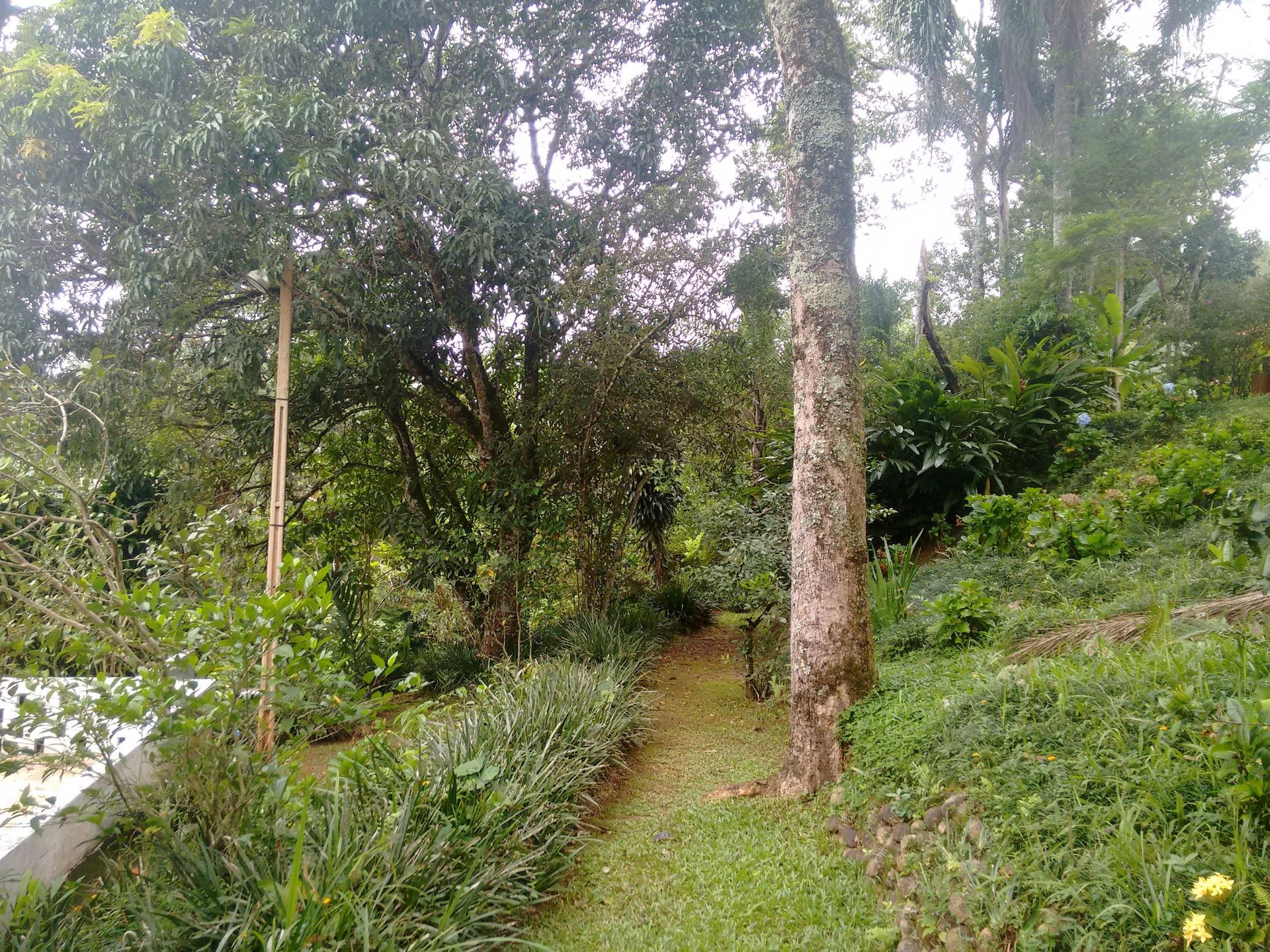 Chácara em Arujá – São Domingos — foto 6