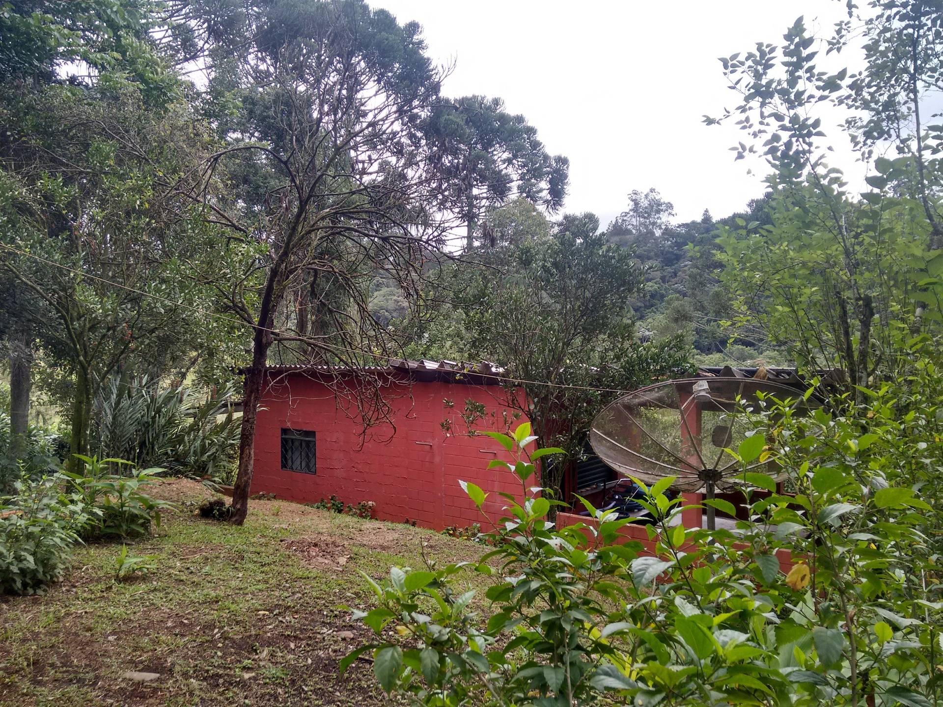Chácara em Arujá – São Domingos — foto 7