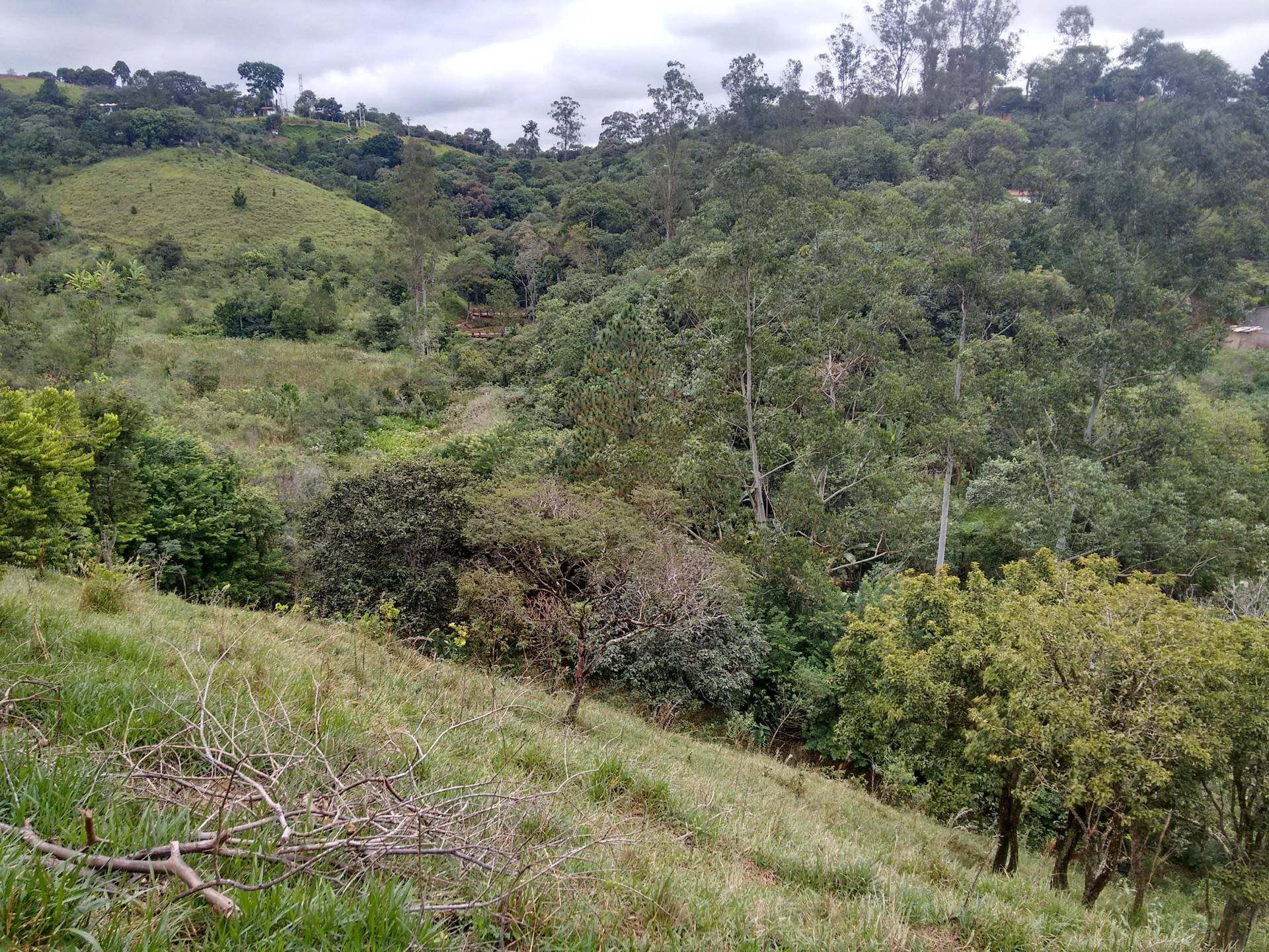 Chácara em Arujá – São Domingos — foto 10